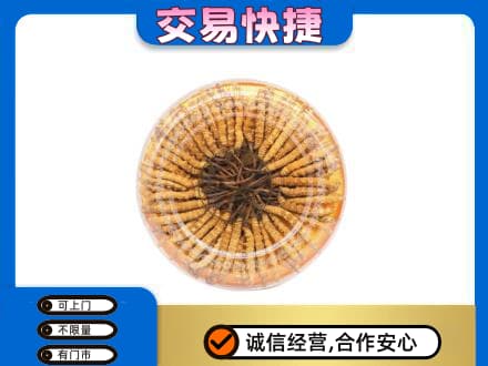 天水武山县回收虫草礼盒